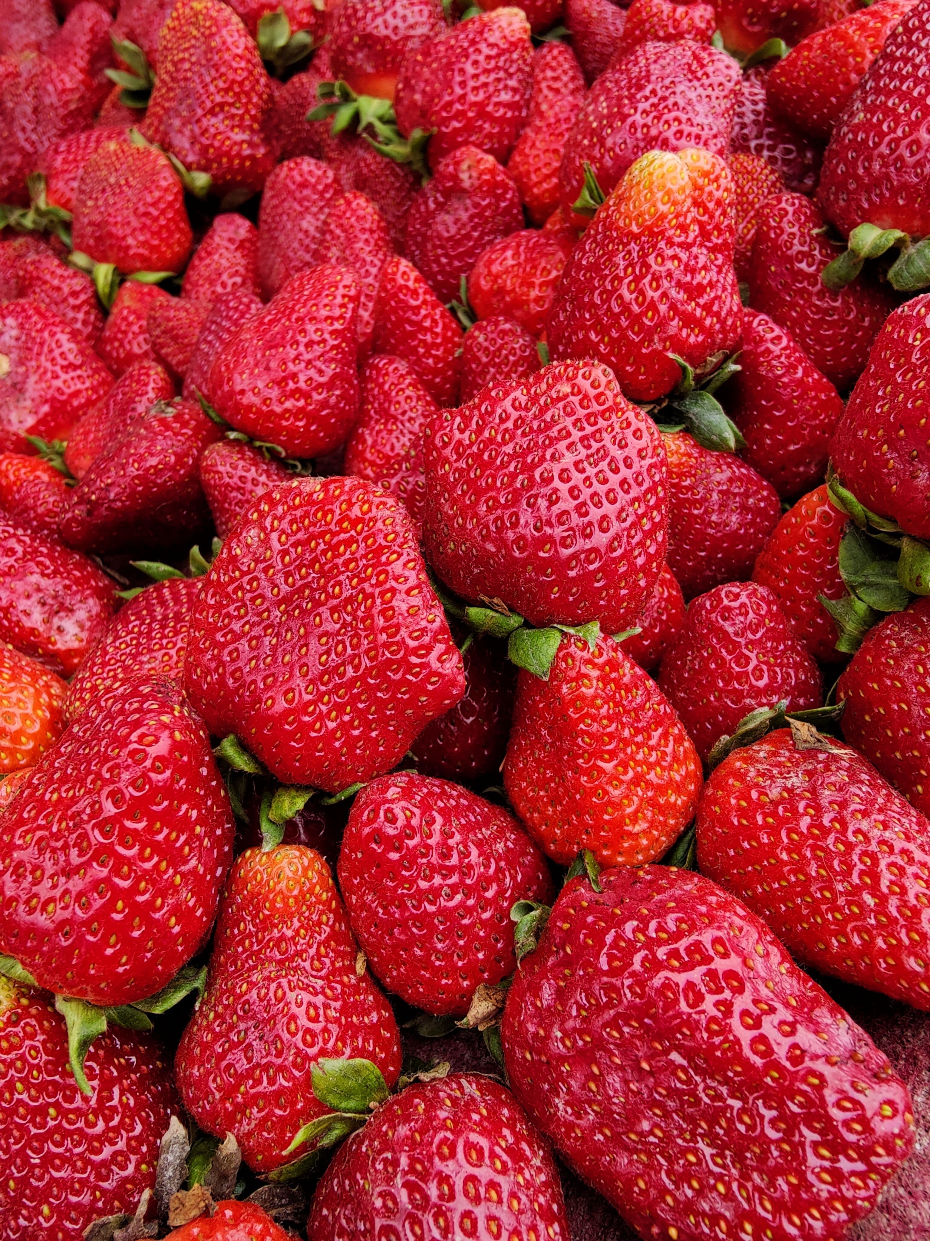Egyptian strawberry